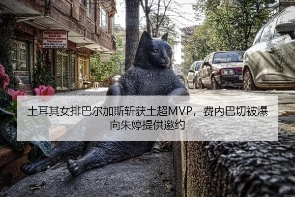 tu-er-qi-nv-pai-ba-er-jia-si-zhan-huo-tu-chao-fei-nei-ba-qie-bei-bao-xiang-zhu-ting-ti-gong-yao-yue-2-325.jpg